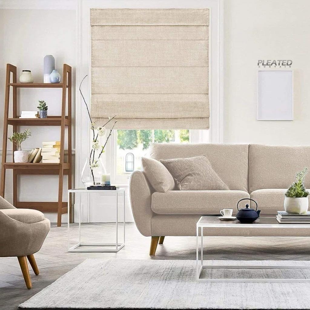 Light Filtering Pleated Roman Shade